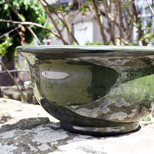 40cm Aegean Bowl Olive Plant Pot Outdoor Pots