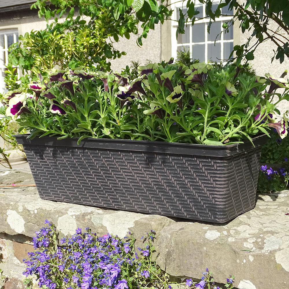 53cm Rattan Window Box Black/Chocolate Plant Pot Outdoor Pots