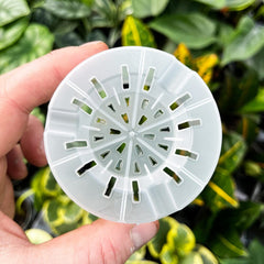 5pk 15cm Transparent Growing Pot Clear Orchid Pot House Plant