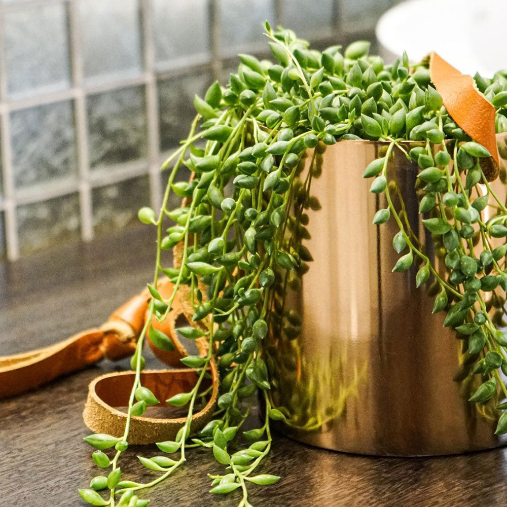 Copper Hanging Planter with Leather Strap 13cm Dia Pots & Planters