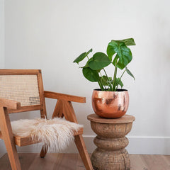 Hammered Bowl Copper Black 19cm Pots & Planters