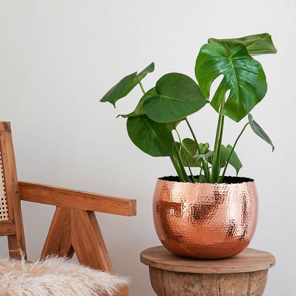 Hammered Bowl Copper Black 19cm Pots & Planters