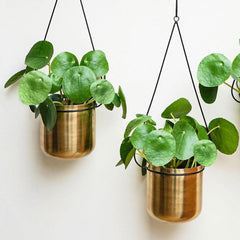 Linear Black and Gold Hanging Planters 81cm Pots & Planters