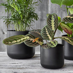 Lisbon Planter Anthracite 26cm Height 26cm Dia Pots & Planters