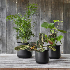 Lisbon Planter Anthracite 26cm Height 26cm Dia Pots & Planters