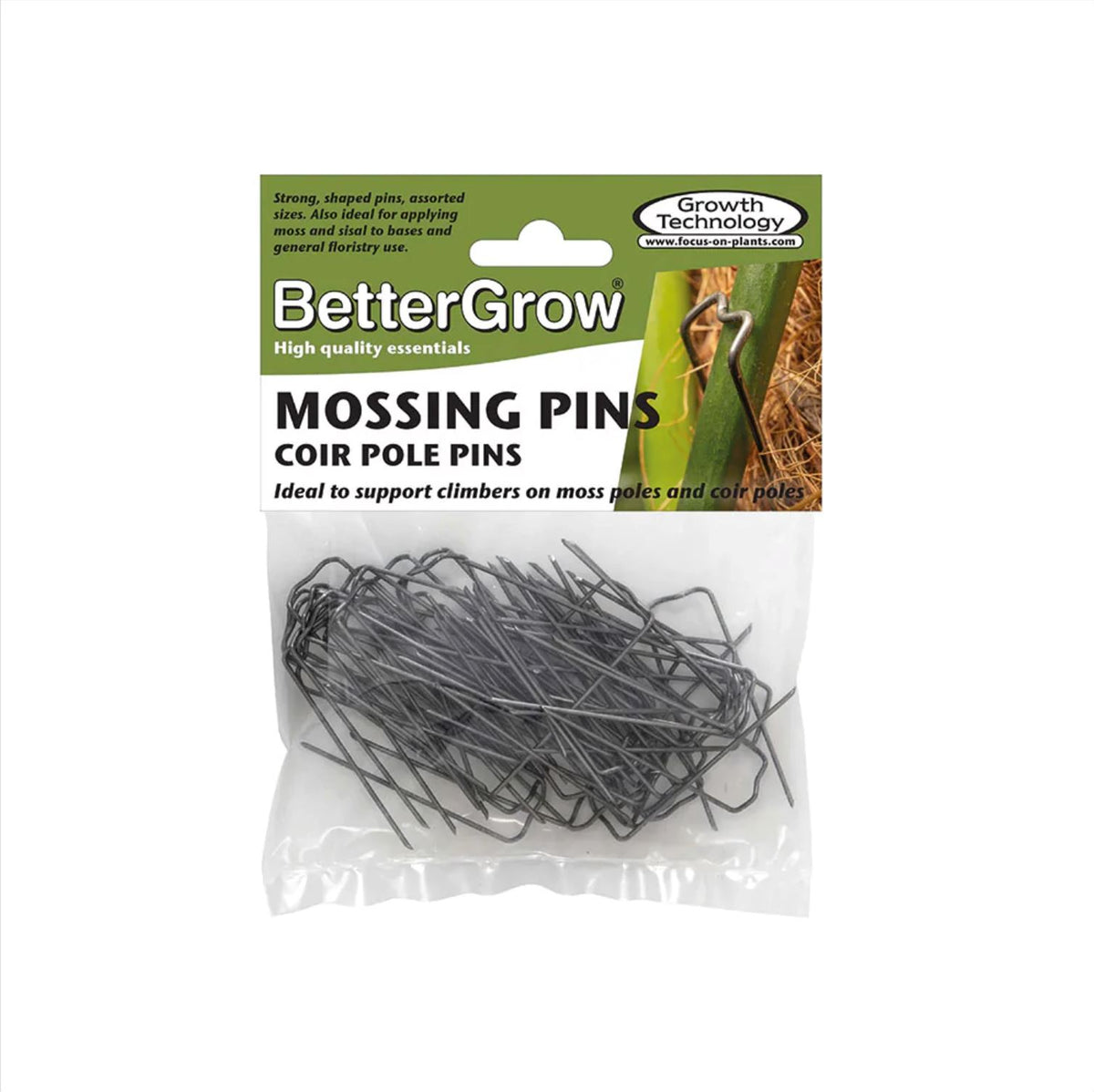 Mosspole Pins (Pack of 50) Houseplant Care