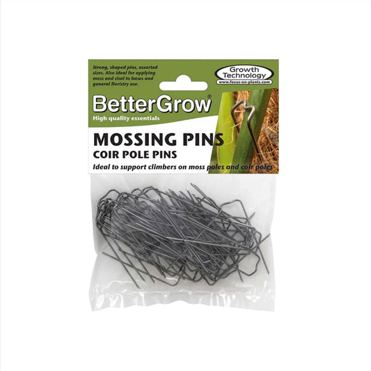 Mosspole Pins (Pack of 50) Houseplant Care