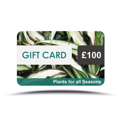 Plants for all Seasons Gift Card Gift Cards