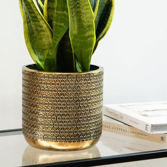 Solis Embossed Planter Gold 18cm Height 18cm Dia Pots & Planters